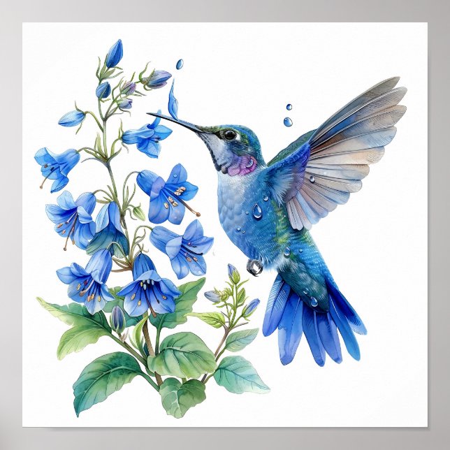 Bluebells Hummingbird Watercolor Skriv ut Poster (Framsidan)