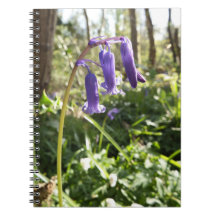 Bluebells Notebook