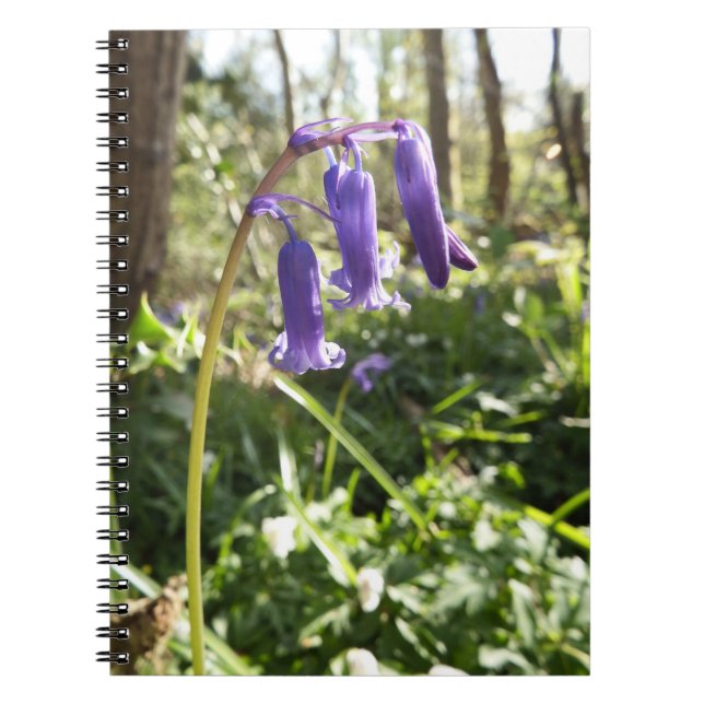 Bluebells Notebook Anteckningsbok Med Spiral (Framsidan)