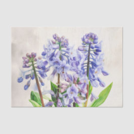 BLUEBELLS-papper