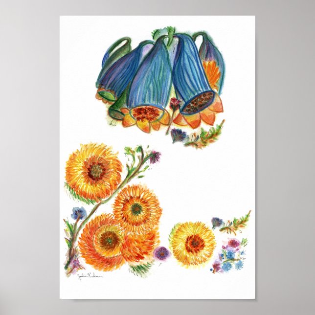 Bluebells Poster (Framsidan)