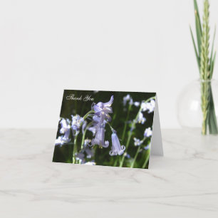 Bluebells Tack Kort