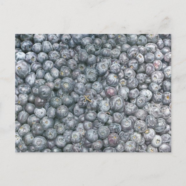 Blueberries Art Vykort (Framsida)