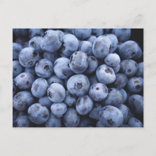 BLUEBERRIES PHOTOGRAPHY FRUITS HEALTHY VYKORT