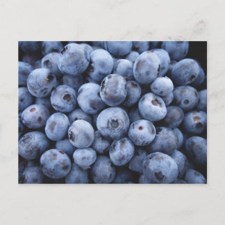 BLUEBERRIES PHOTOGRAPHY FRUITS HEALTHY VYKORT
