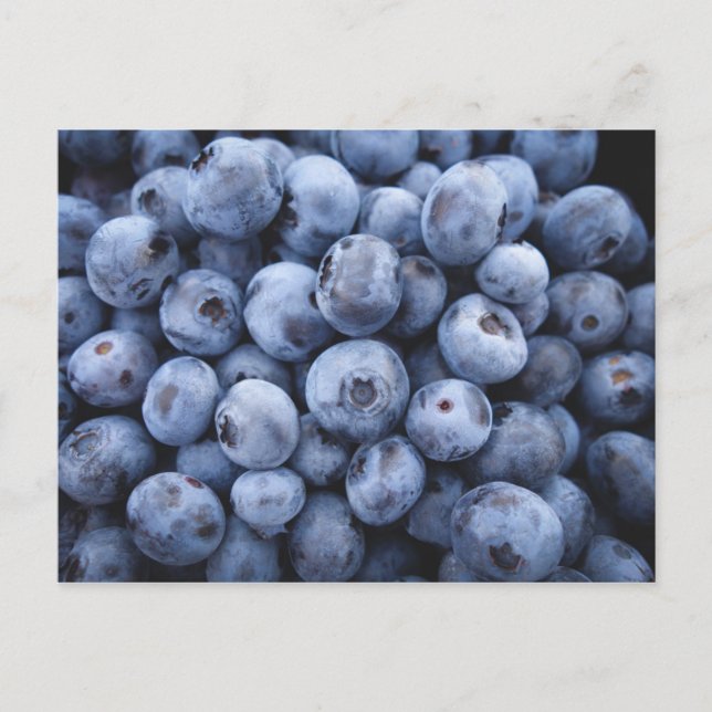 BLUEBERRIES PHOTOGRAPHY FRUITS HEALTHY VYKORT (Framsida)