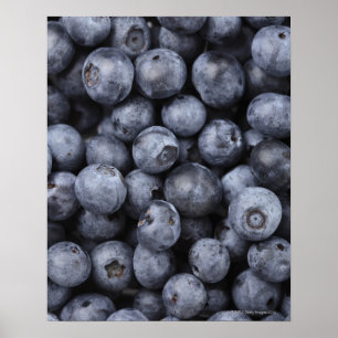 Blueberries Poster