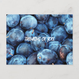 BLUEBERRIES VYKORT