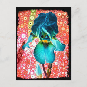 Blueberry Iris Postcard Vykort