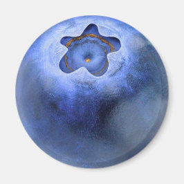 Blueberry Magnet