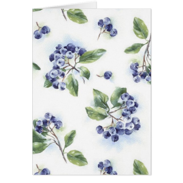 Blueberry OBS Kort (Framsidan)