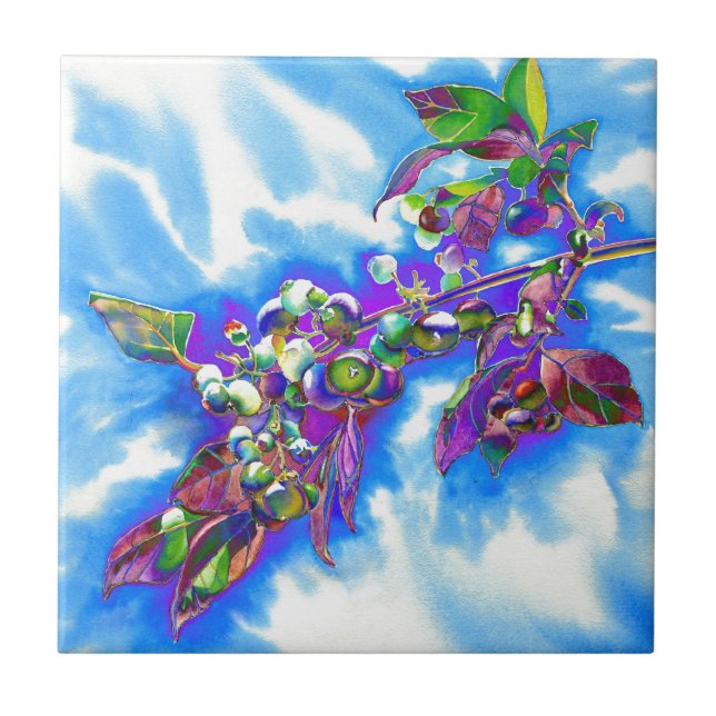 Blueberry Solar Kakelplatta (Framsidan)