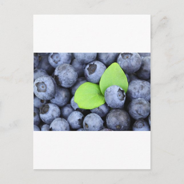 BLUEBERRY VYKORT (Framsida)