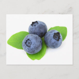 Blueberry Vykort