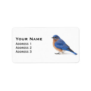 Bluebird Adressetikett