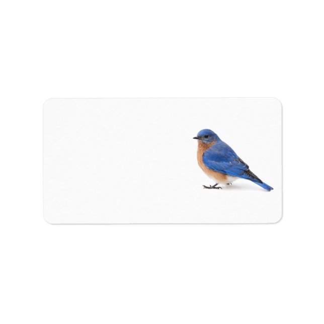 Bluebird Adressetikett (Framsidan)