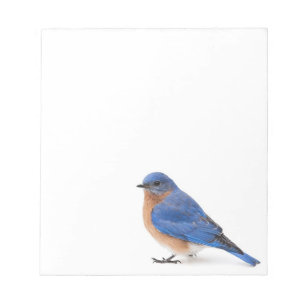 Bluebird Anteckningsblock