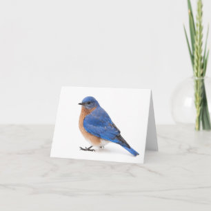 Bluebird Anteckningskort