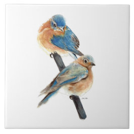 Bluebird Art Decor Kakelplatta