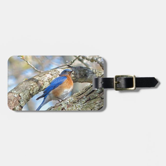 Bluebird Bagagebricka (Horisontell Framsida)