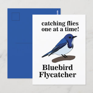 Bluebird Bird Älskare Funny Vykort