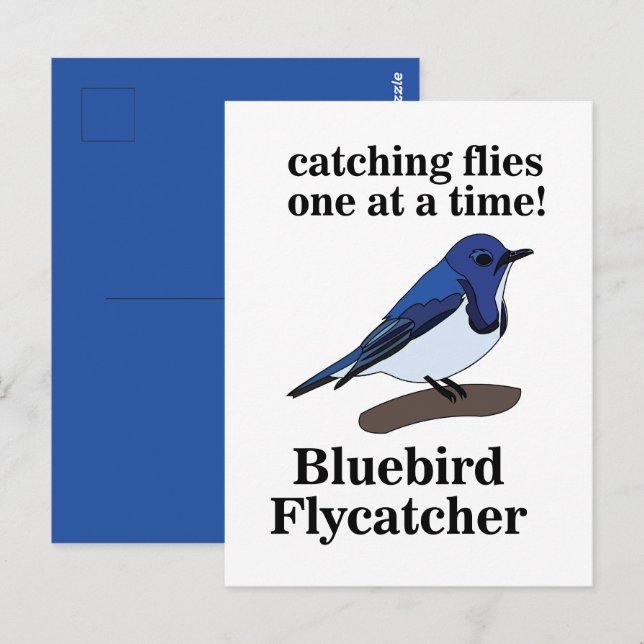 Bluebird Bird Älskare Funny Vykort (Fram/baksida)