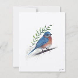 Bluebird Bird Art Julkort