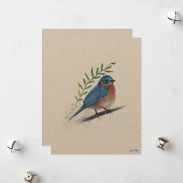 Bluebird Bird Art Julkort