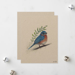 Bluebird Bird Art Julkort