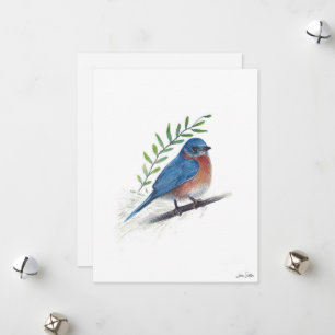 Bluebird Bird Art Julkort