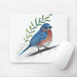 Bluebird Bird Art Musmatta