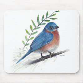Bluebird Bird Art Musmatta