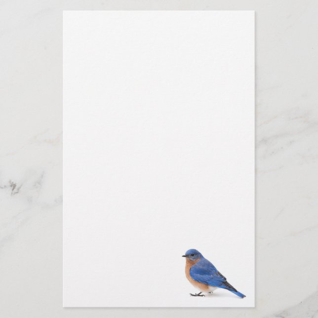 Bluebird Brevpapper (Framsida)