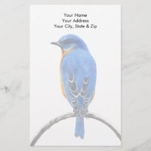 Bluebird Brevpapper
