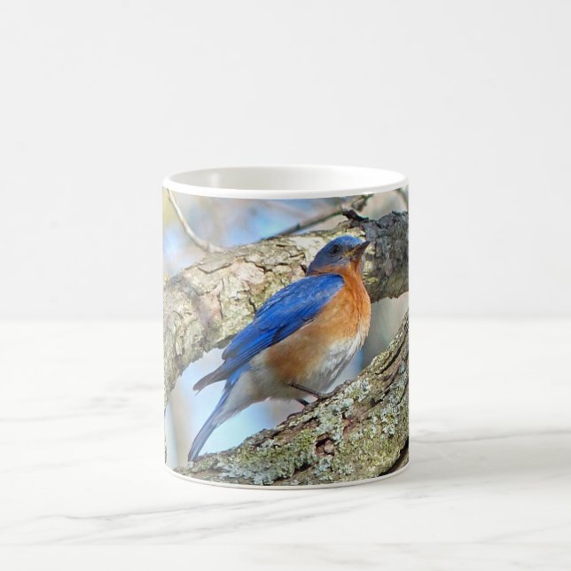 Bluebird Coffee Mugg (Center)