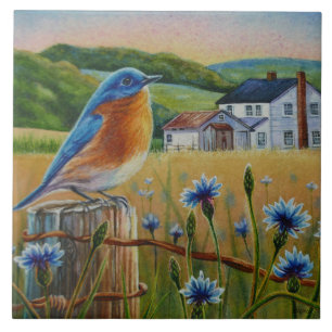 Bluebird Cornblomma Summer Farm Watercolor Art Kakelplatta