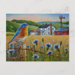 Bluebird Cornblomma Summer Farm Watercolor Art Vykort
