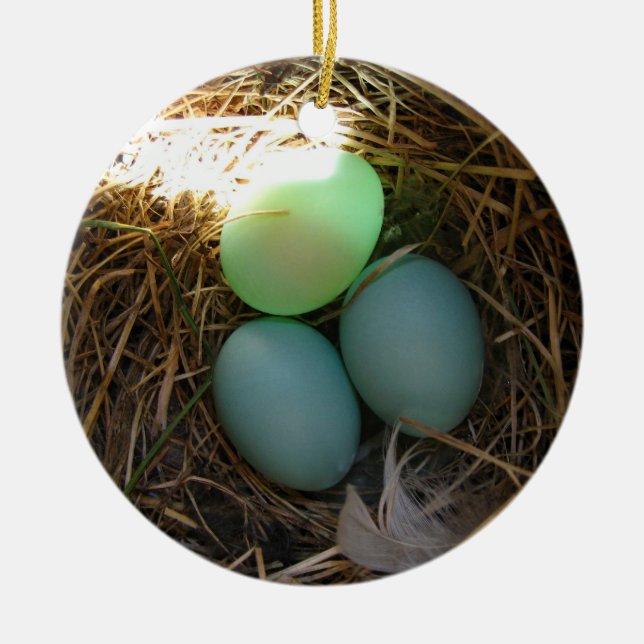 Bluebird Eggs Ornament (Framsidan)