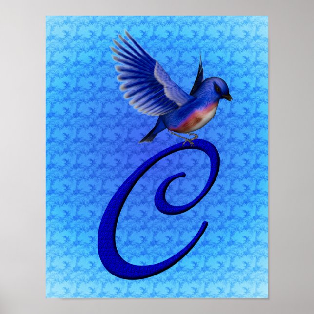 Bluebird Elegant Monogram Initial C Poster (Framsidan)