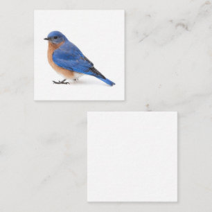 Bluebird Fyrkantigt Visitkort