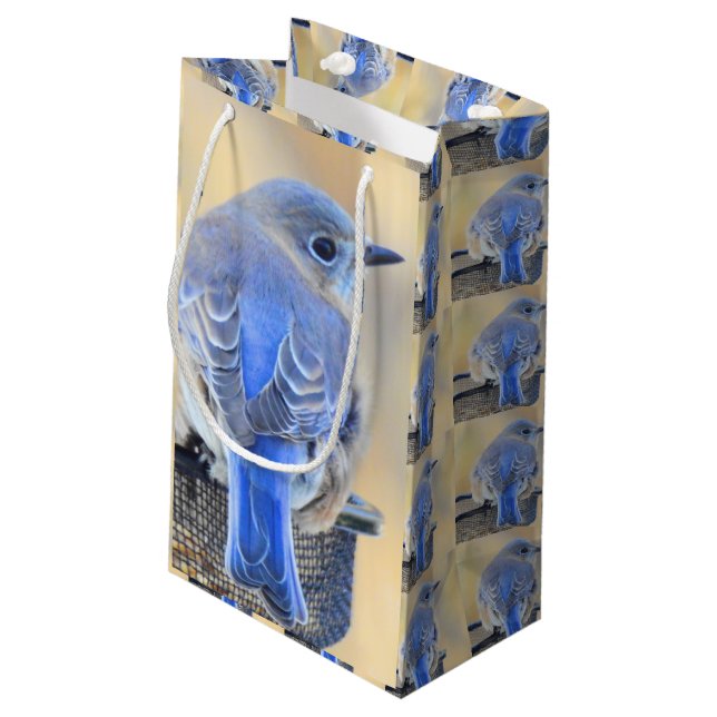 Bluebird Gift Bag (Baksidan Vinklad)
