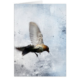 Bluebird Grunge Hälsningskort