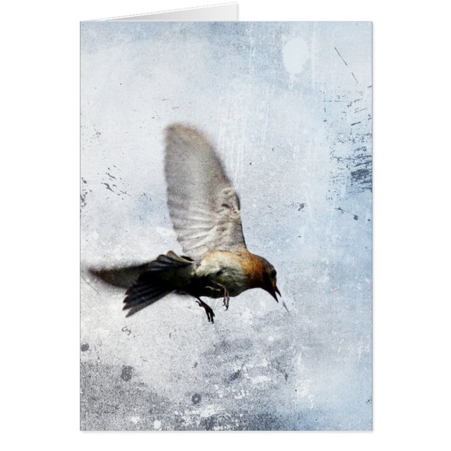 Bluebird Grunge Hälsningskort (Framsidan)