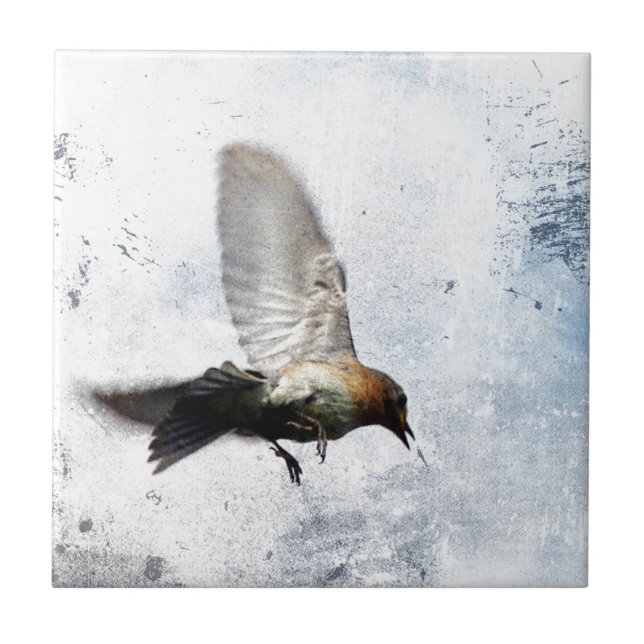Bluebird Grunge Kakelplatta (Framsidan)
