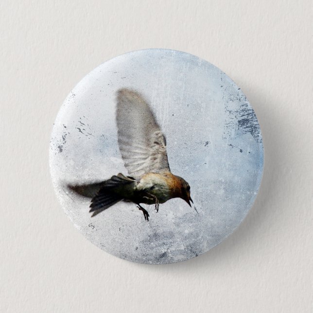 Bluebird Grunge Knapp (Framsida)