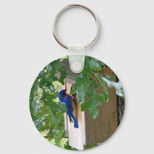 Bluebird hemma nyckelring