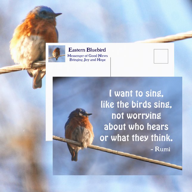 Bluebird jag vill Sjunga Rumi Quote Photographic Vykort (Skapare uppladdad)