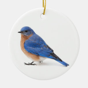Bluebird Julgransprydnad Keramik