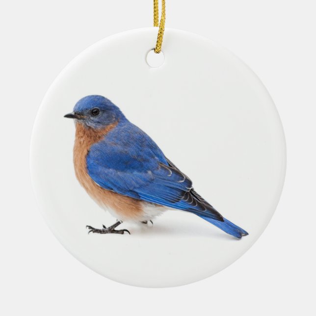 Bluebird Julgransprydnad Keramik (Framsidan)