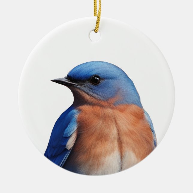 Bluebird Julgransprydnad Keramik (Framsidan)